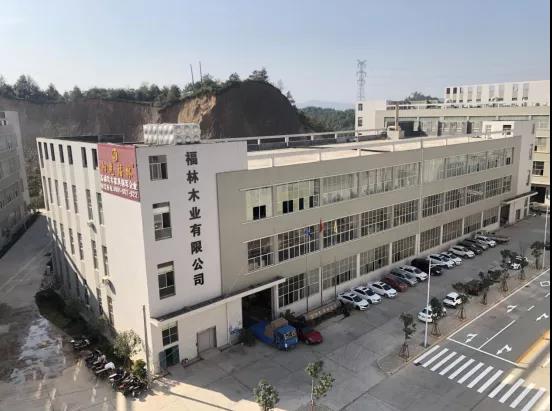陽光福林
